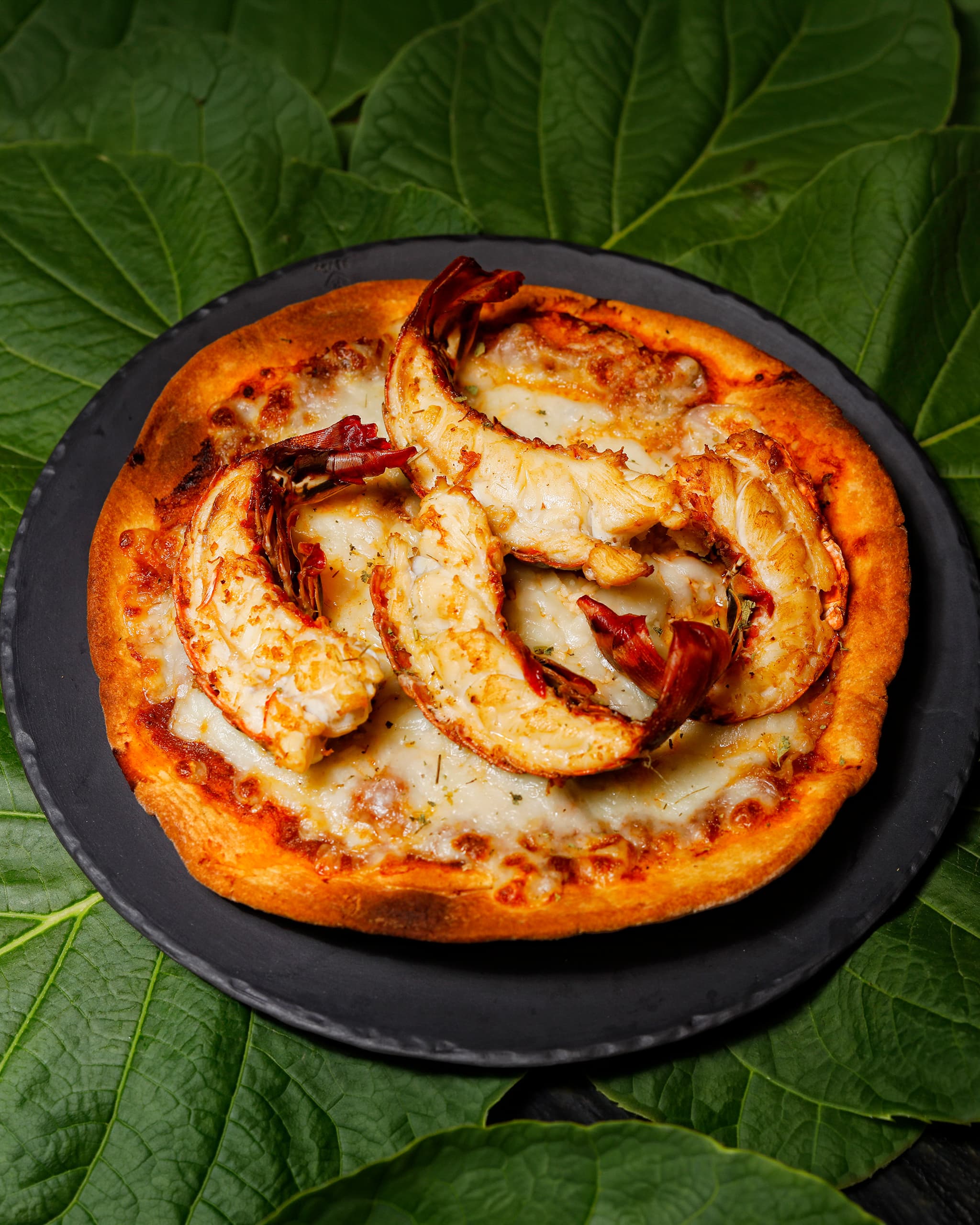 Pizza de langosta servida sobre pizarra, entre hojas verdes