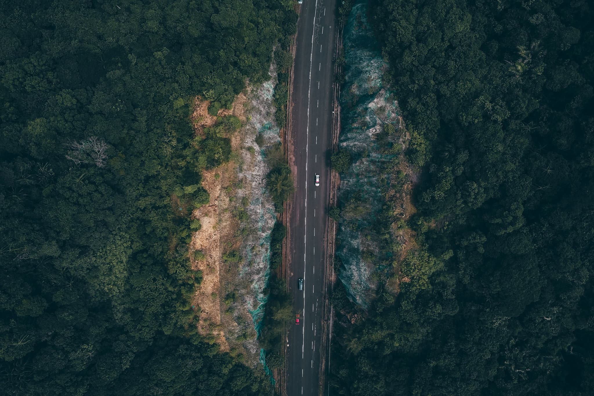 Carretera recta entre la selva, vista desde el aire