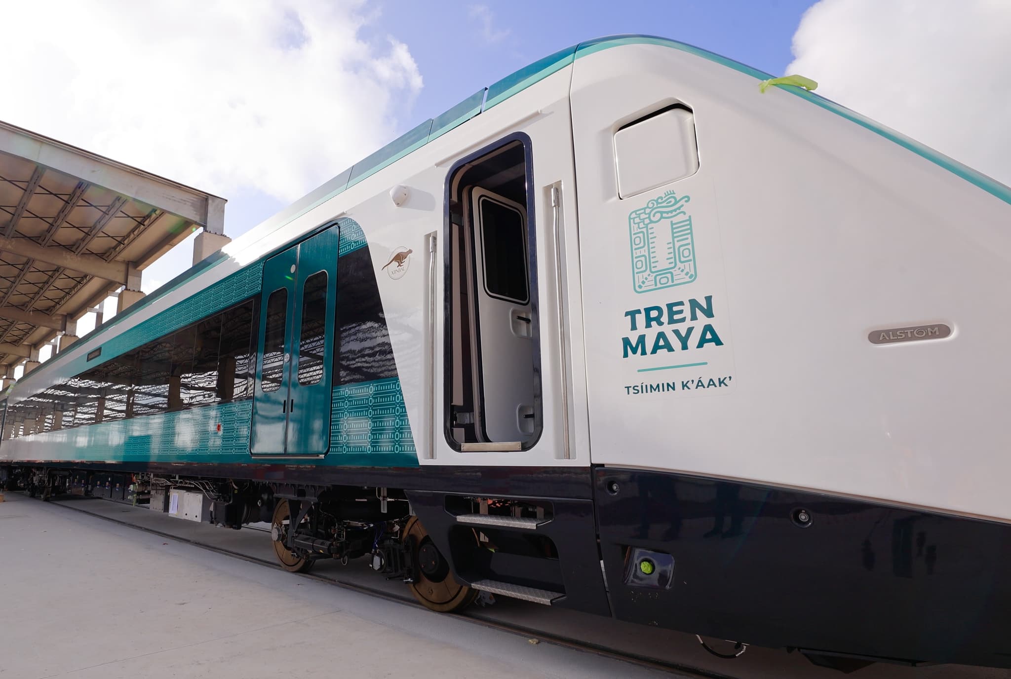 Tren Maya en marcha sobre la vía, entre vegetación