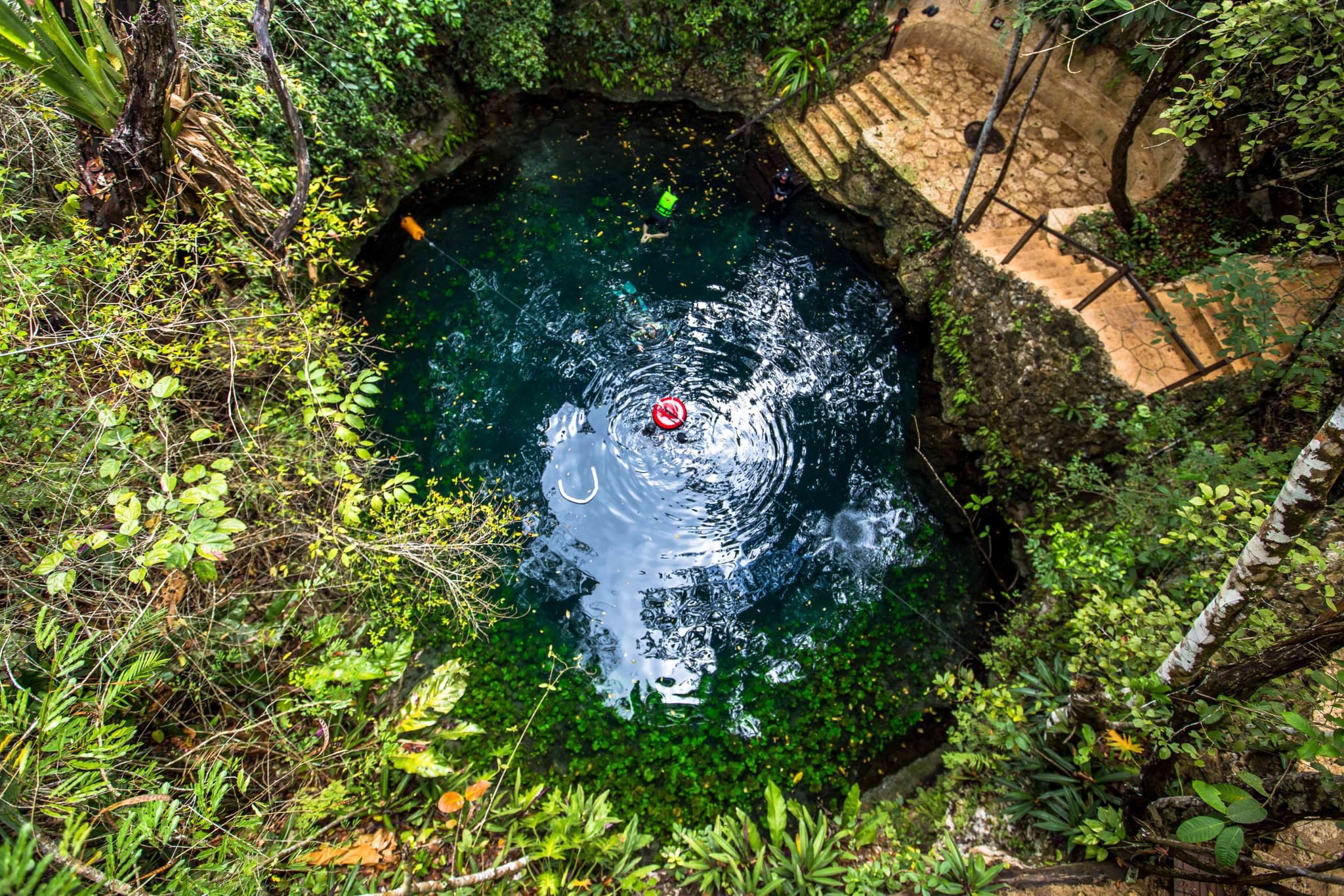 Cenote abierto rodeado de selva en la Ruta de los Cenotes