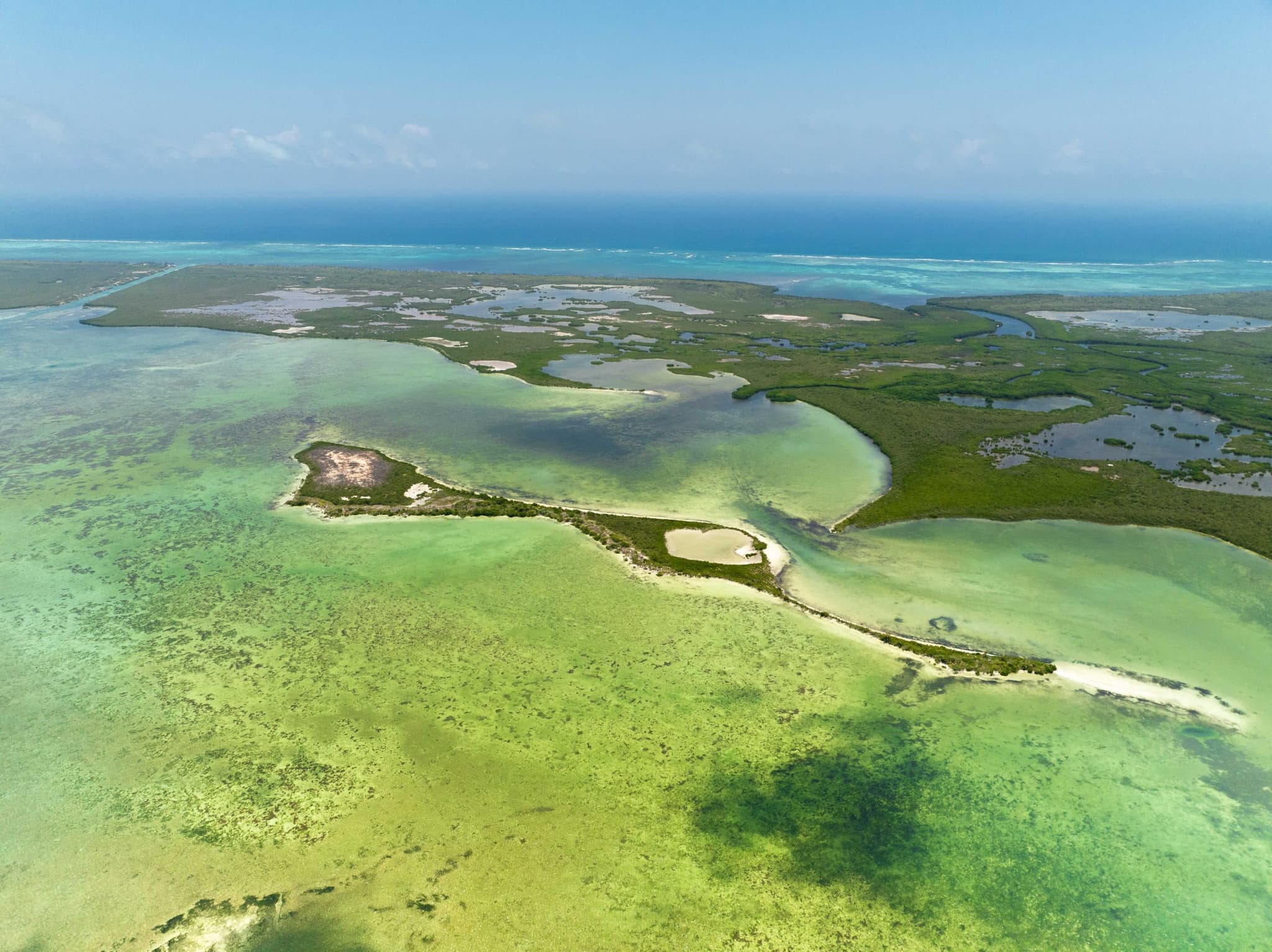 Vista aérea de la costa y el arrecife de Mahahual