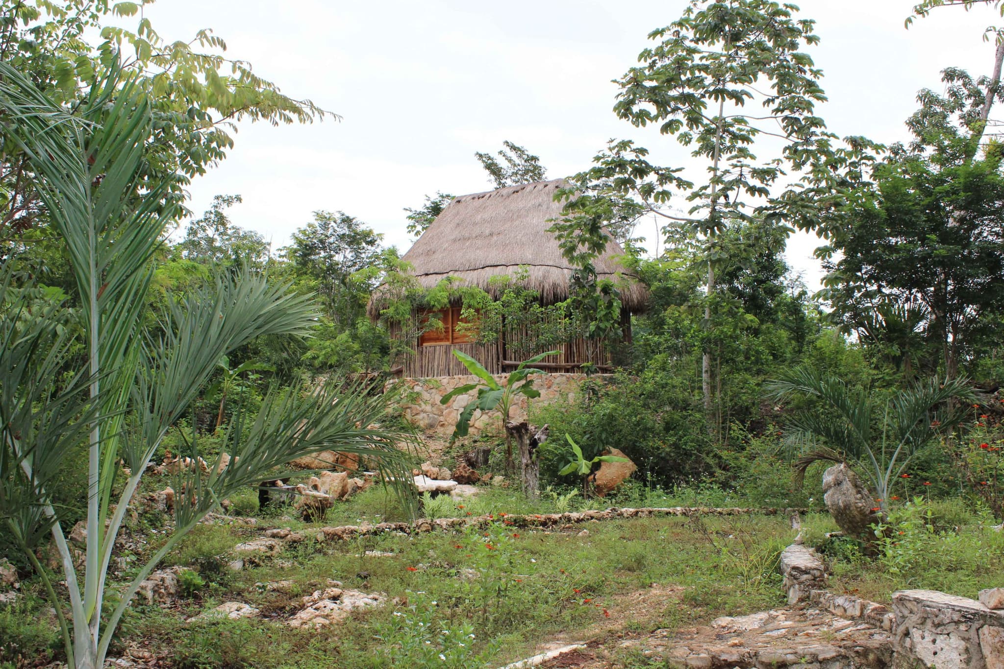 Cabaña de madera entre la selva en Maya Ka'an