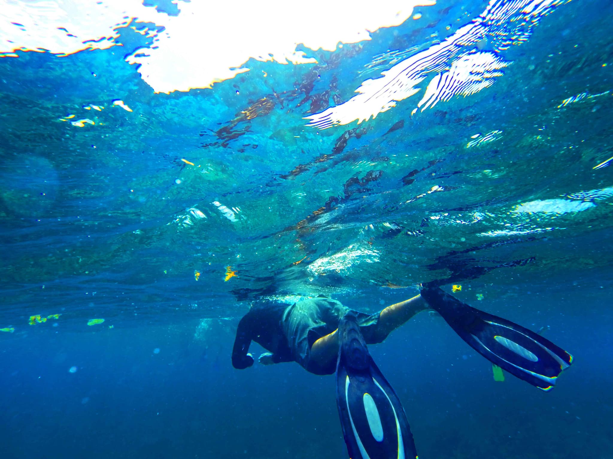 Persona haciendo snorkel sobre un arrecife en aguas claras