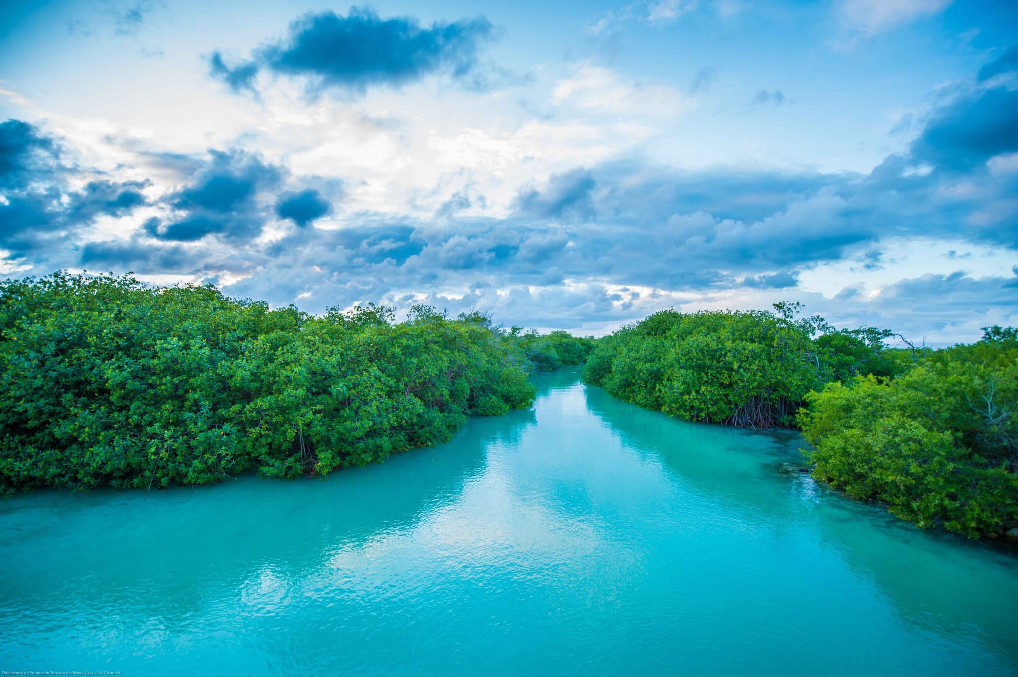 Canal de agua turquesa entre manglares en Sian Ka'an