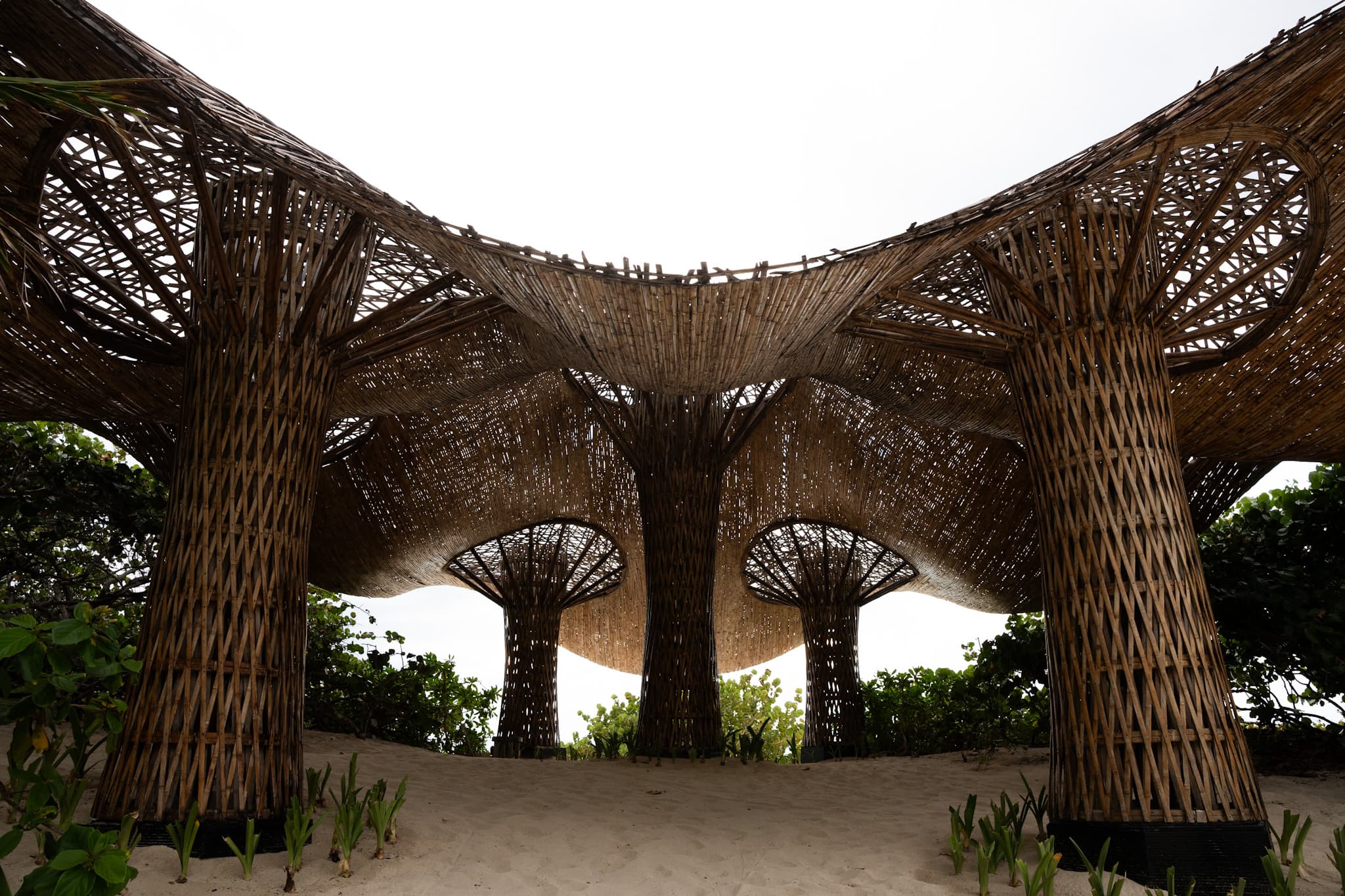 Palapa de arquitectura tejida sobre la arena