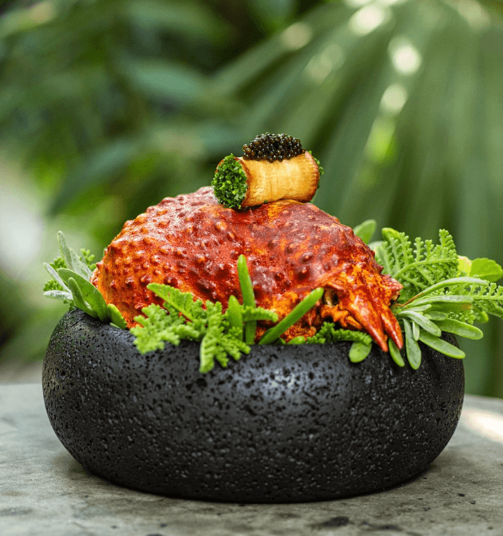 Festivales culinarios en la Riviera Maya y la Grand Costa Maya