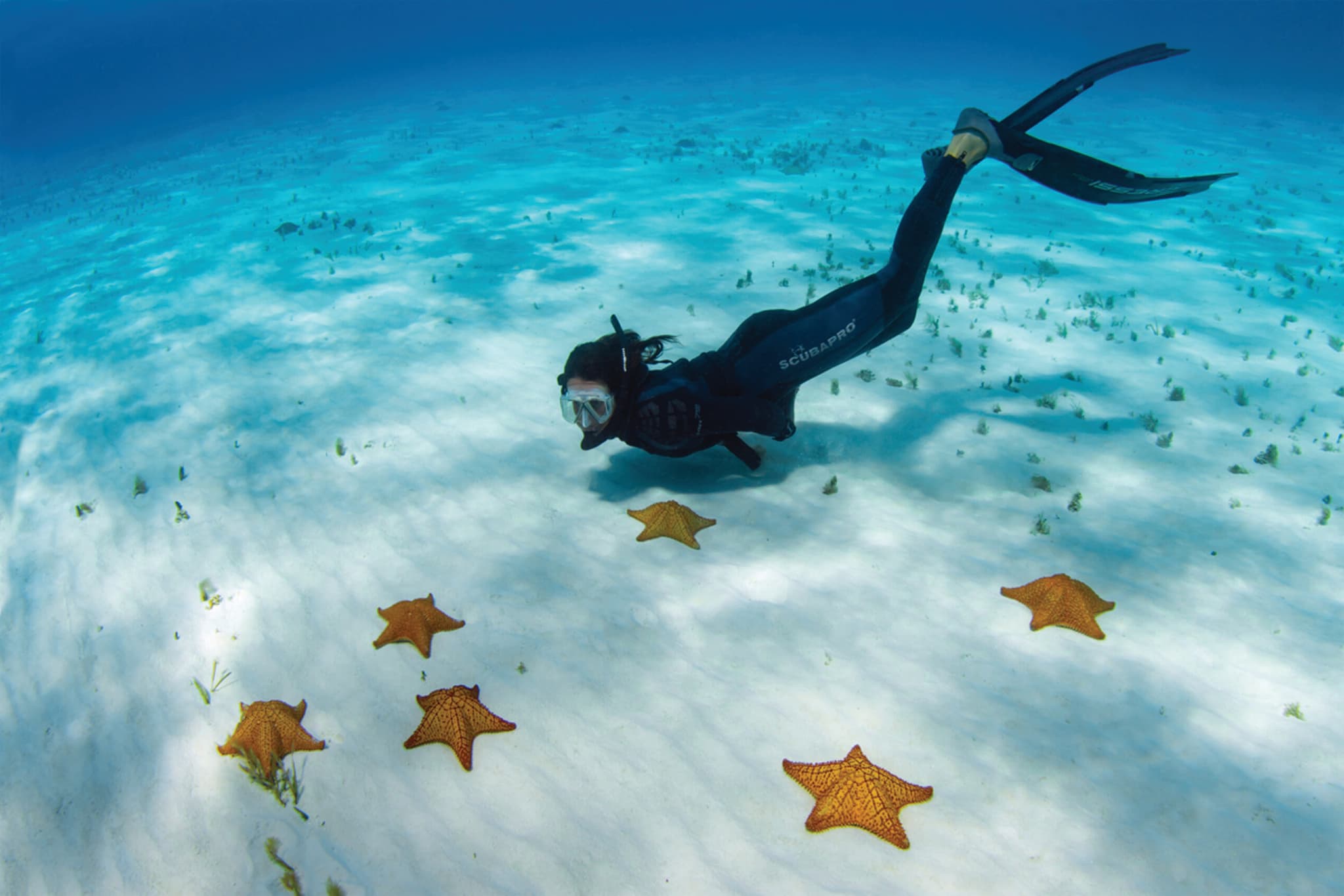 Cozumel
