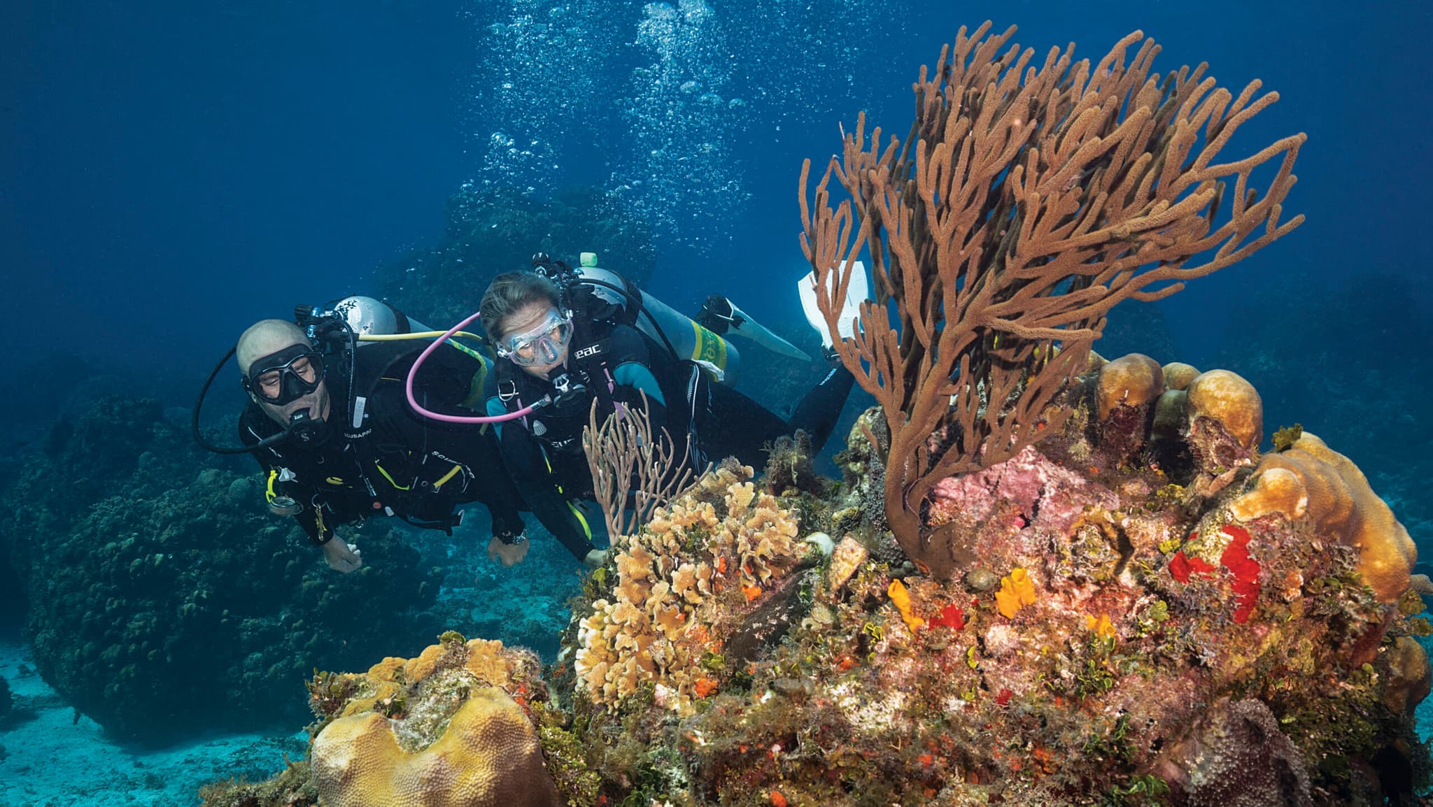 Cozumel: buceo