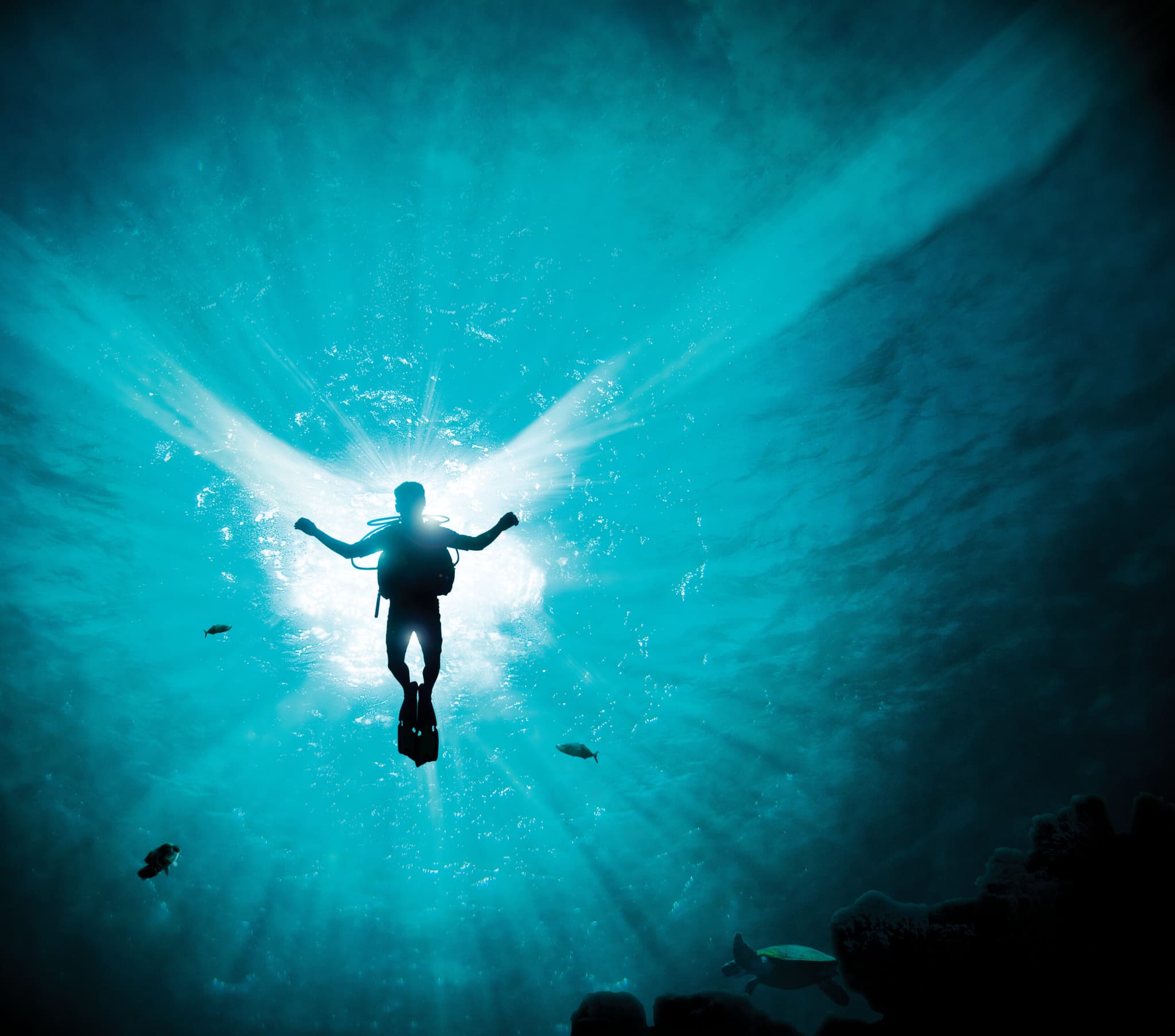 Cozumel: buceo