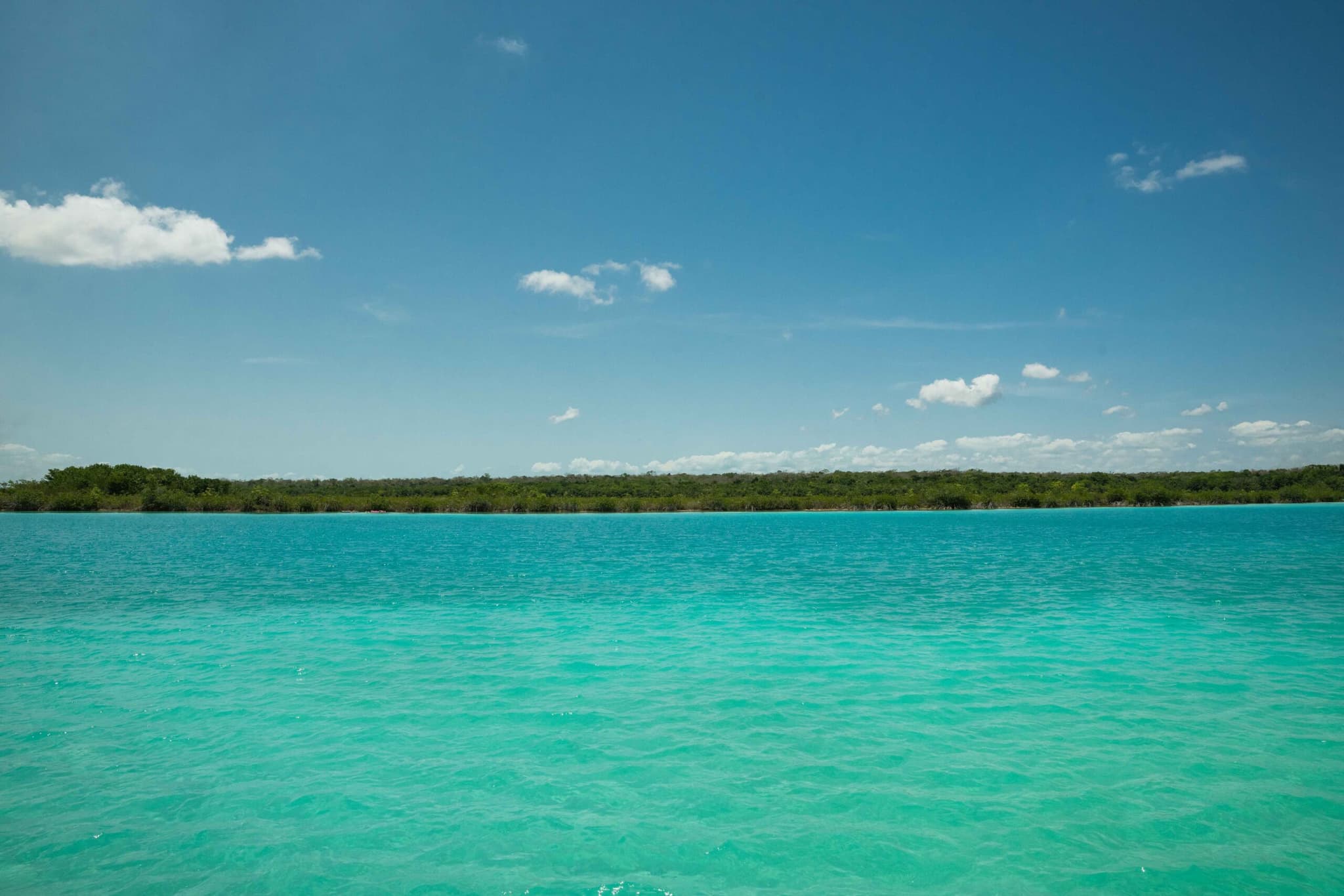 Bacalar
