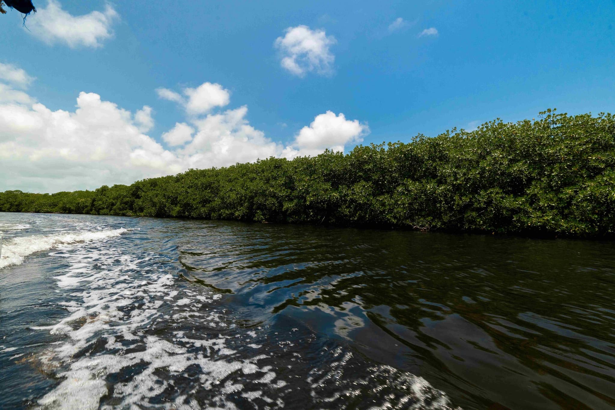 Mahahual