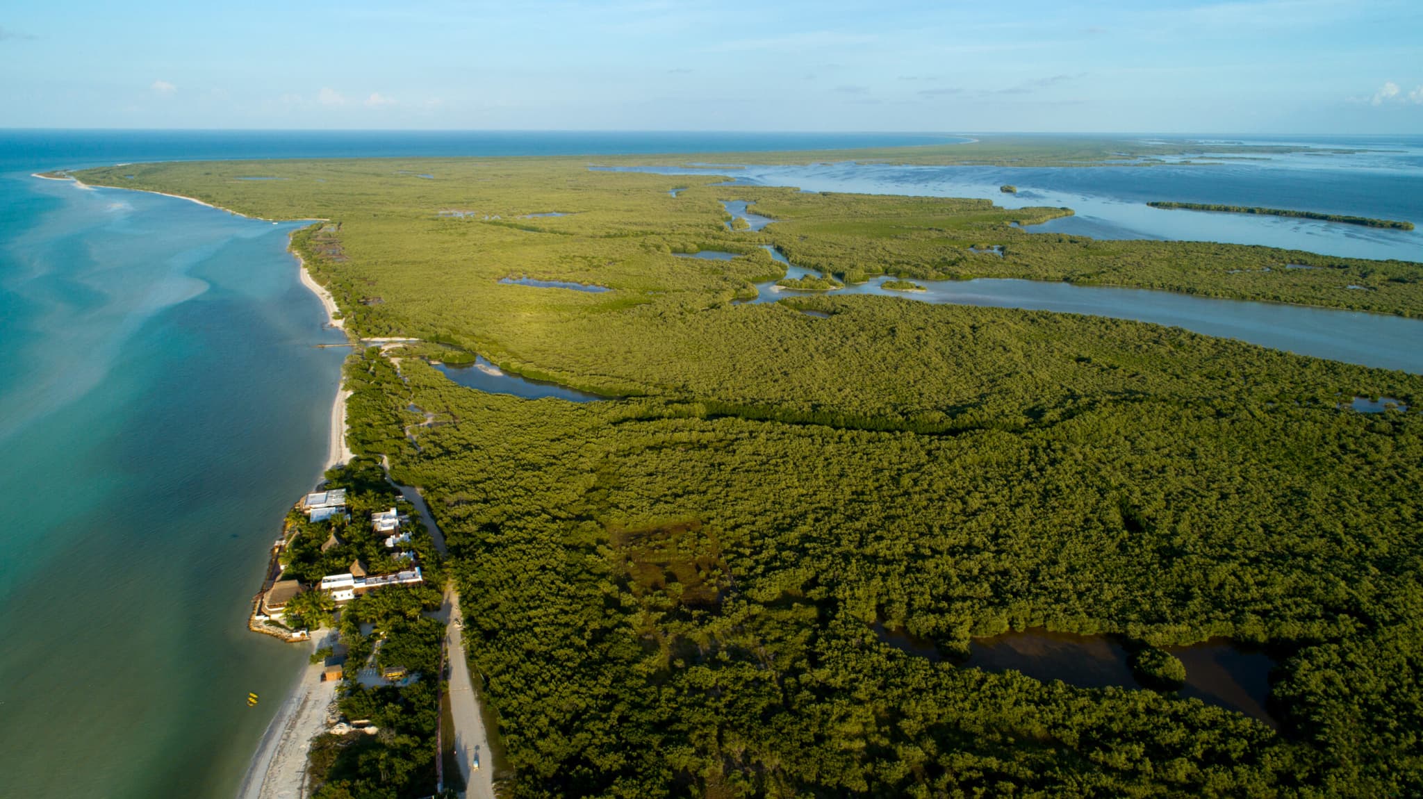 Holbox