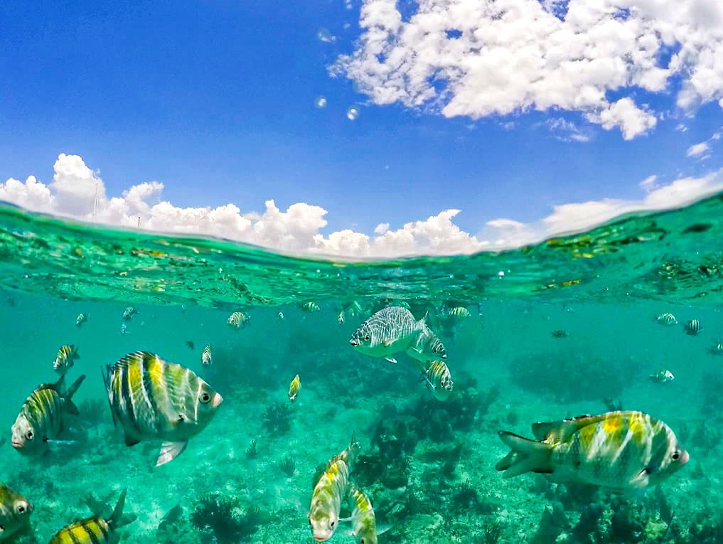 Playa del Carmen: Playa Maroma