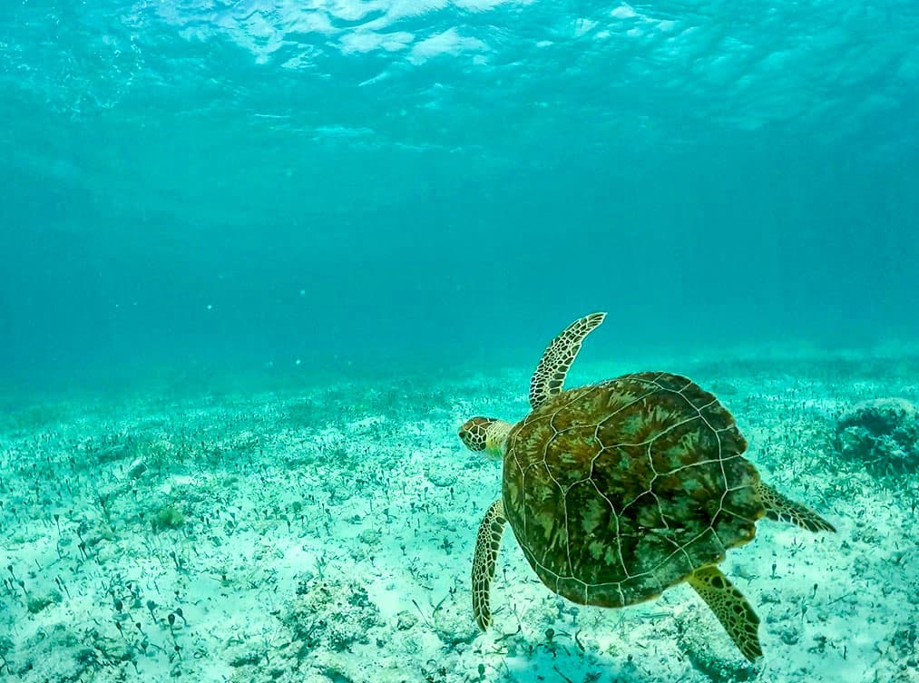 Playa del Carmen: Playa Maroma