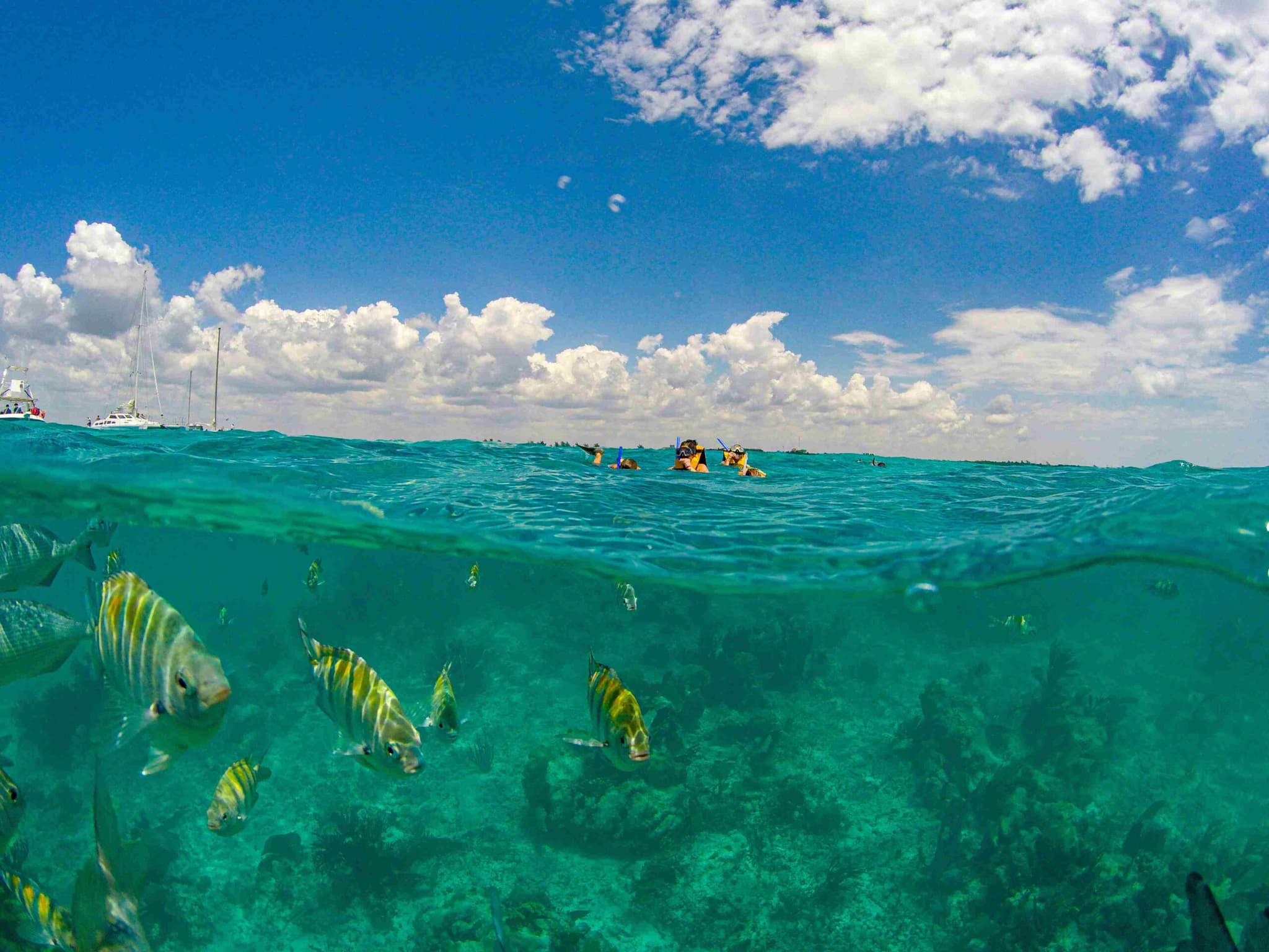 Playa del Carmen: Playa Maroma