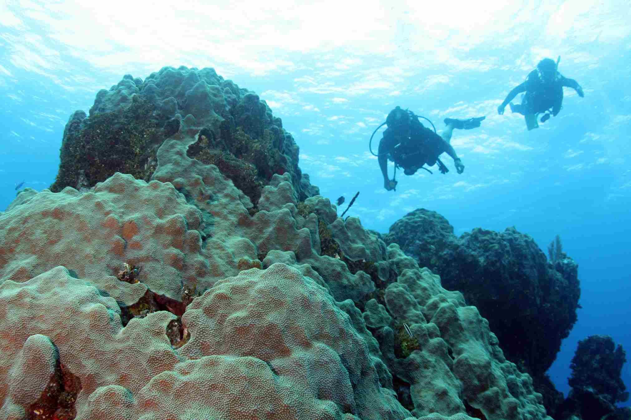 Buzos sobre un arrecife de coral frente a la costa de Chetumal