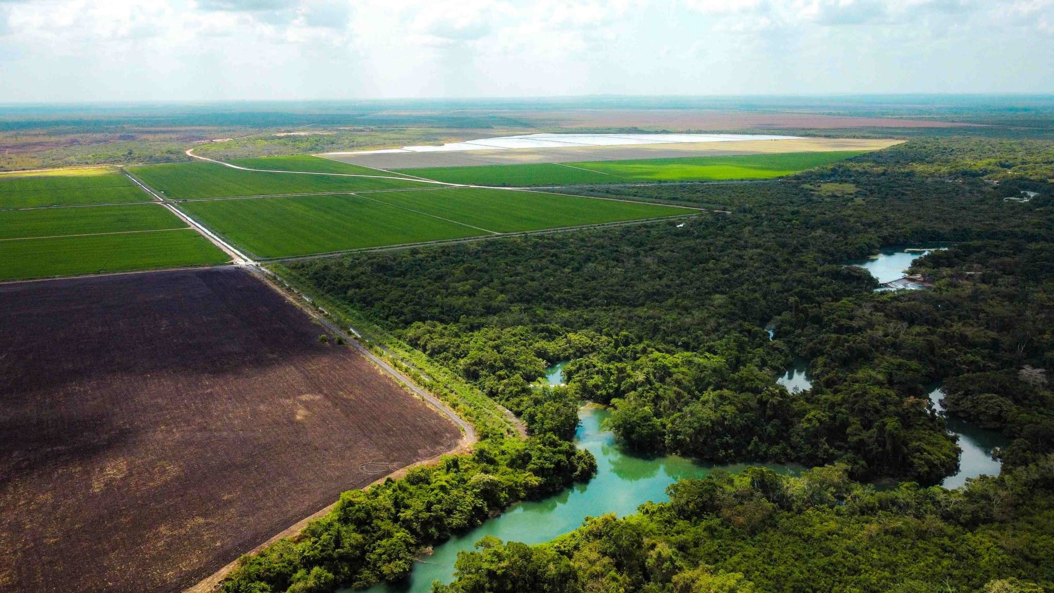 Vista aérea de la selva y los ríos del sur de Quintana Roo