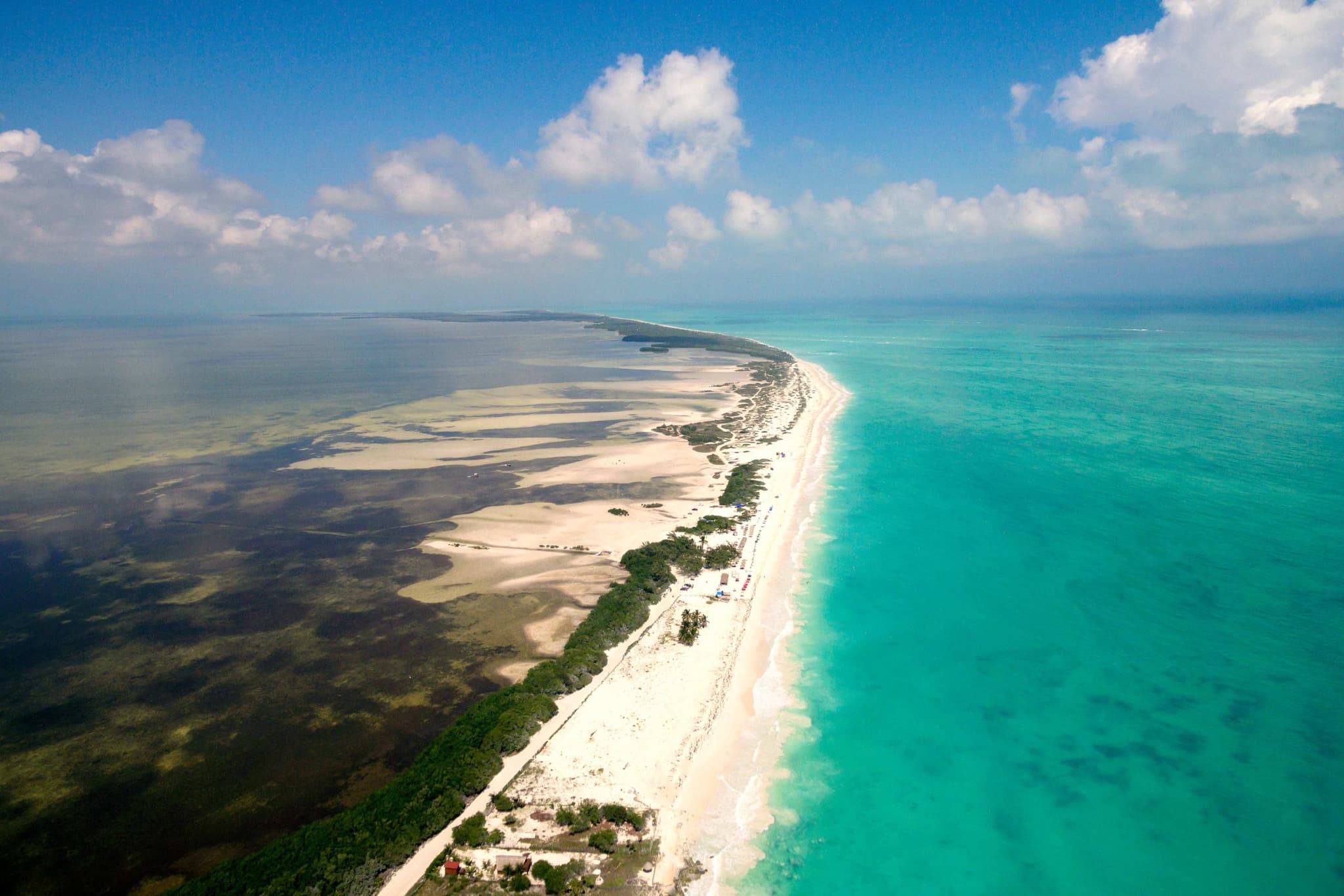 Vista aérea de la costa y los manglares de Costa Mujeres