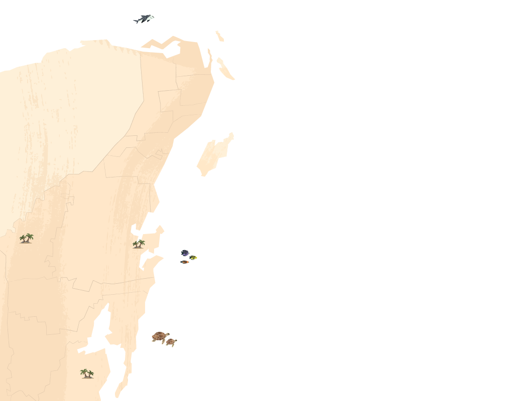 Mapa del Caribe Mexicano